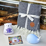 Набор: плед,ночник и мнушка с логотипом adverstyle | mercutio