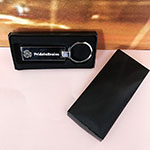 Брелок с логотипом PrideInBrains