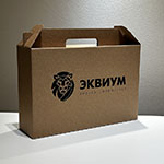 Коробка с логотипом Equium