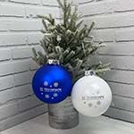 Ёлочные шары с логотипом Технопарк