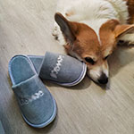 Тапочки с логотипом Комус