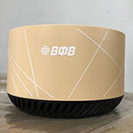 Яндекс Станция с логотипом ВФВ, бежевая