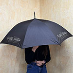 Зонт с логотипом Villa Fellini