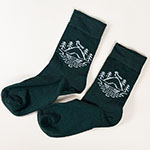 Носки с индивидуальным дизайном логотип Голубино