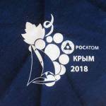 Банданы с логотипом для Росатом