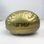 Антистресс с логотипом ИГМУ