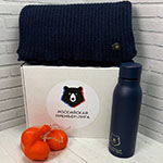 Новогодний подарочный набор с логотипом Российская премьер лига: шарф,термос и свечи мандарины