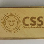 Домино с логотипом CSS