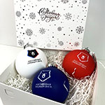 Набор ёлочных шаров с логотипом Российская Премьер Лига