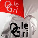 Зонты, дождевики с логотипом Ole Gri