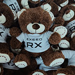 Мягкие игрушки мишки с логотипом EXEED RX